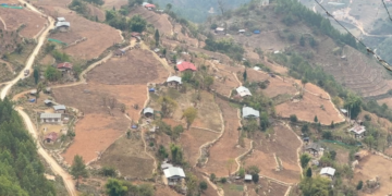 Steep slopes turn productive in Thangrong